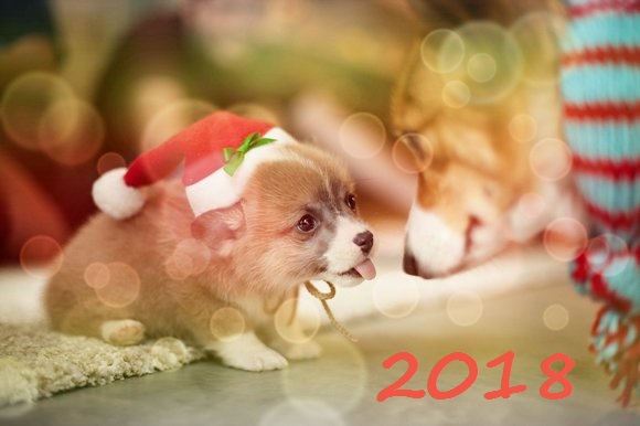 поздравления прозой на новый год 2018