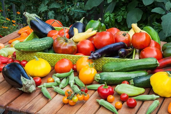 Частушки о витаминах в овощах и фруктах thumbnail