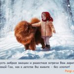Девочка и большая псинка
