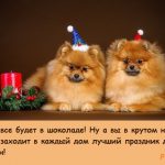 2 собаки новогодние