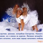 собачка-снегурка