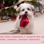 картинка собаки под елкой