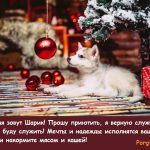 хаски