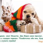 щенок с подарками в шапочке