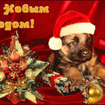 пес в колпаке