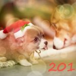 поздравления прозой на новый год 2018