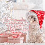 гиф с милой собакой