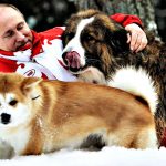 Президент и собачки прикольная картинка