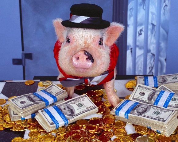 новогодняя викторина про свинью