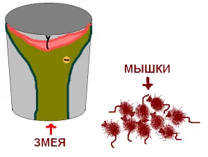 игра со змейкой