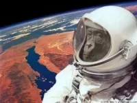 Поздравление на новый год в картинках