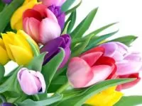 Частушки учителям на 8 марта
