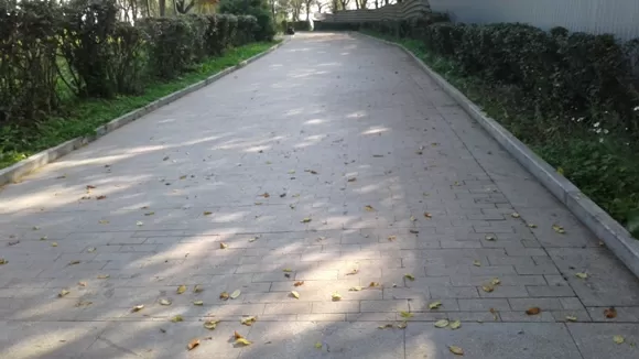 дорога в школу