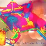 прикольные картинки с собаками