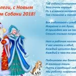 картинки собаки