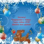 Коллегам с Новым Годом!