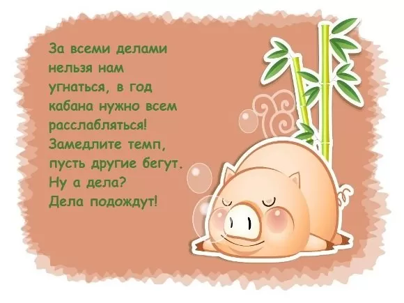 юморное пожелание в год кабана