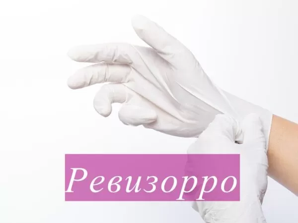 Сценка «Ревизорро» на день рождения женщины