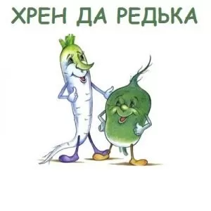Шуточная сценка на свадьбу: «Хрен да Редька»