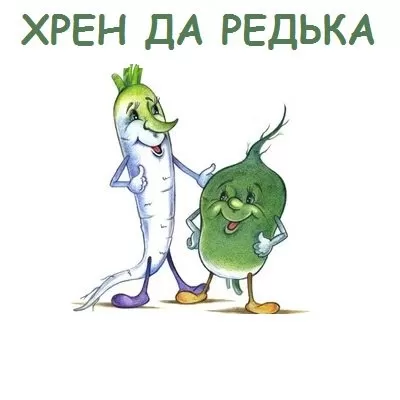 Шуточная сценка на свадьбу: «Хрен да Редька»