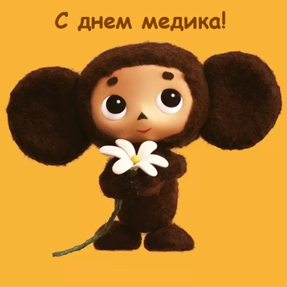 Шуточная сценка на день медика в стихах: «Чебурашка в клинике» 1 вариант