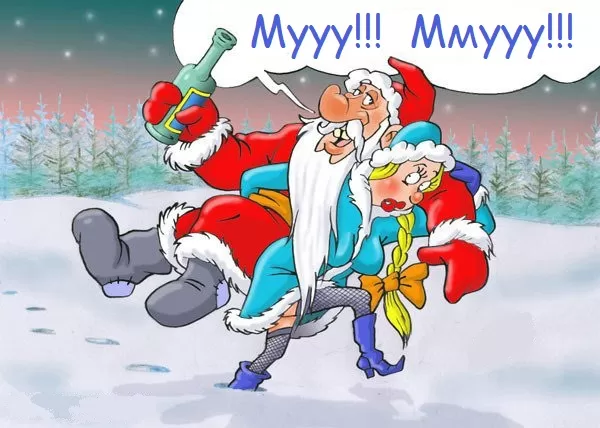 Заказ Деда Мороза и Снегурочки на дом в Москве|Дед Мороз на дом цены