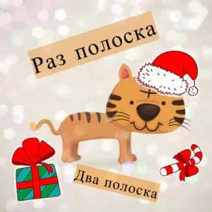 Муз. сценарий Нового Года Тигра в начальной школе: «Раз полоска, два полоска»