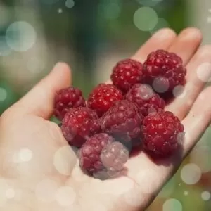 Песня-переделка на день матери на музыку «Ягода-малинка, оп-оп-оп»