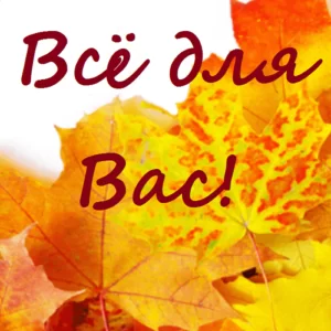 Песня переделанная ко дню учителя на мотив «Всё для тебя»