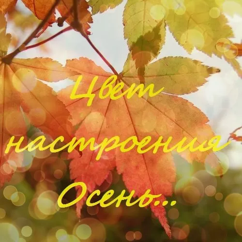 Муз. сценарий вечеринки для взрослой компании: «Цвет настроения — Осень»